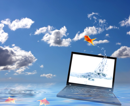 Streaming video