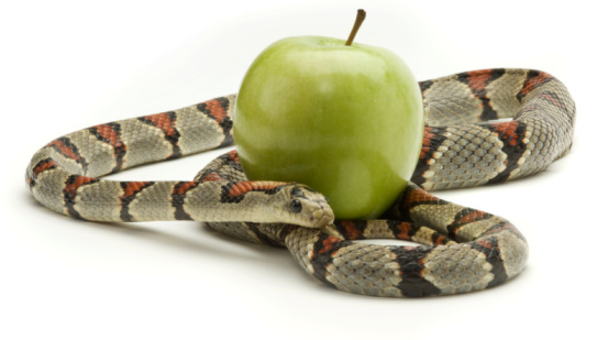 relationship management how to market with social media