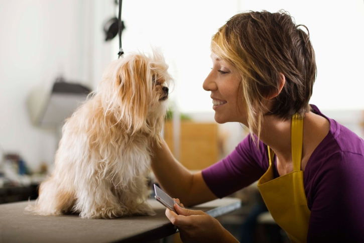 ThinkstockPhotos-86522015