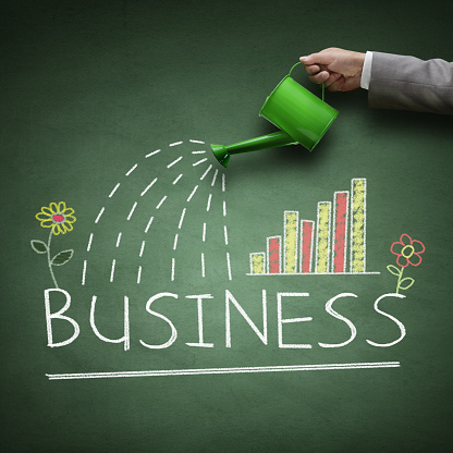 business growth