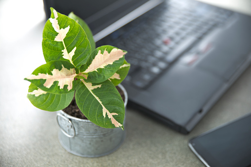 ThinkstockPhotos-512049338 office