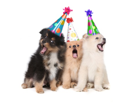 parties for dogs