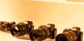 photographs