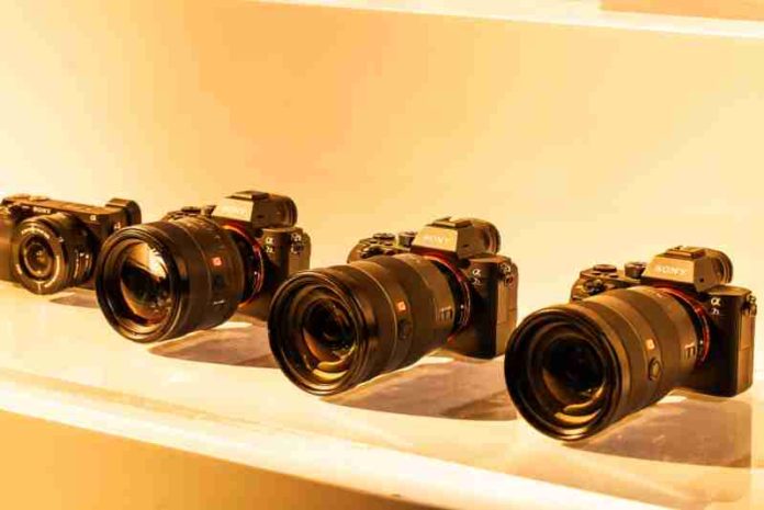 photographs