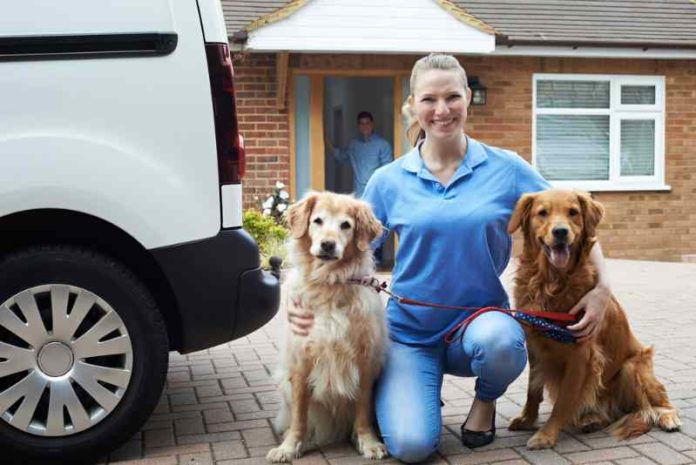 shutterstock_640471273 (1) pet-centric
