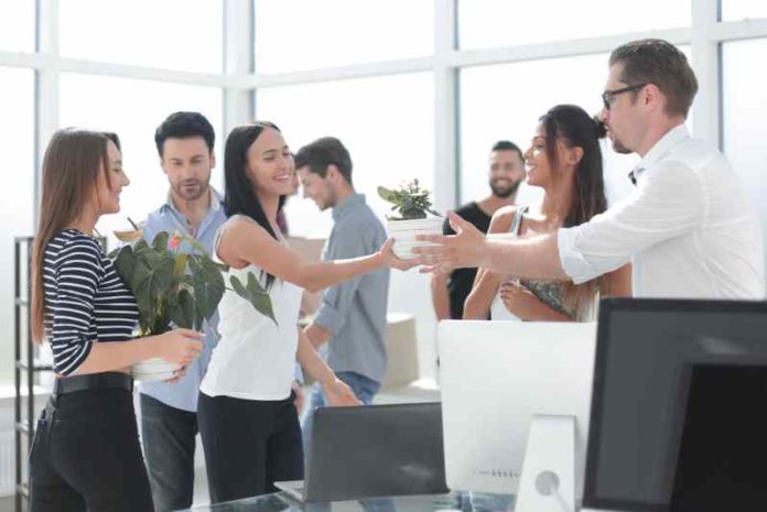 shutterstock_1337963369 (1) startups