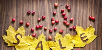 thanksgiving