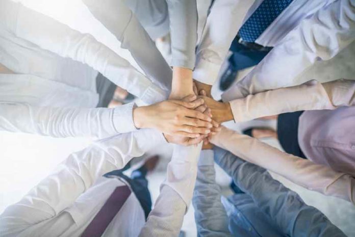 shutterstock_1555760021 (1) business