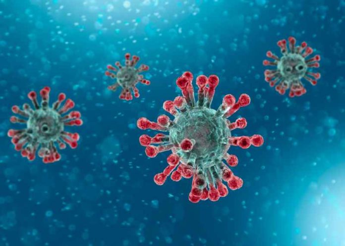 shutterstock_1620672310 (1) coronavirus
