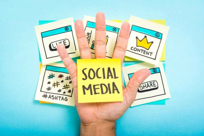 shutterstock_225264403 (1) brands