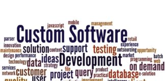 software development