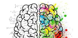 colors