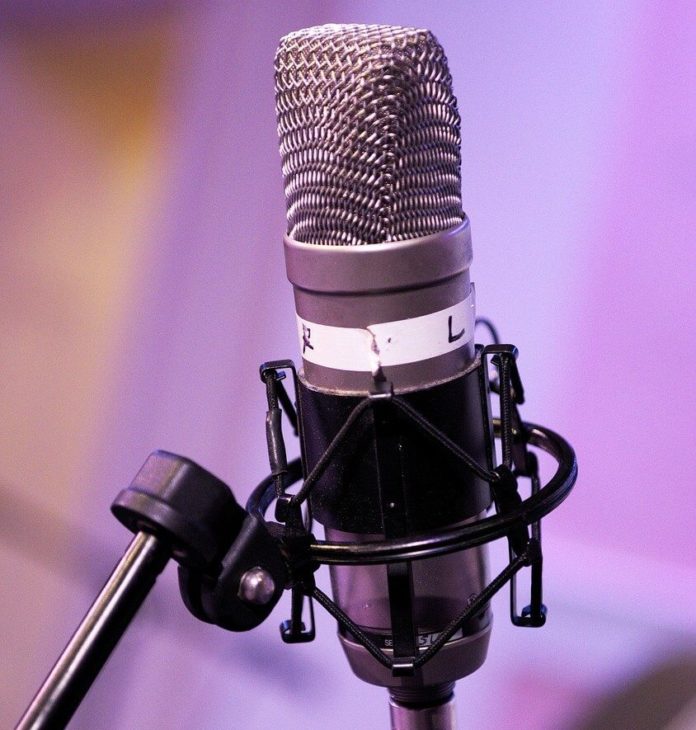 mic-3774927_1280 (1) business