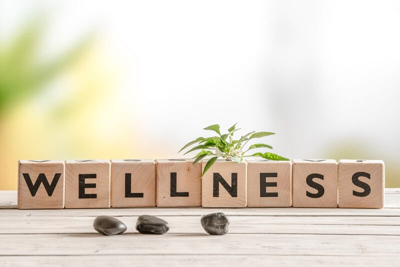 shutterstock_384943213 wellness